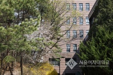 서울여자대학교