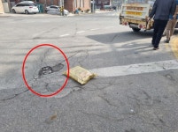 활동 및 처리상황 상세 - 활동 및 처리상황 - 생활민원처리 - 종합민원안내 - 민원안내 - 태백시청 활동 및 처리상황 | 태백시청