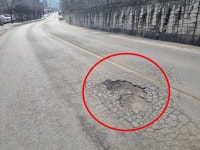 활동 및 처리상황 상세 - 활동 및 처리상황 - 생활민원처리 - 종합민원안내 - 민원안내 - 태백시청 활동 및 처리상황 | 태백시청