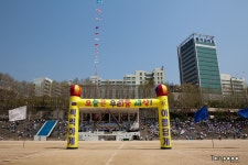 홍익대학교 사범대학 부속 초등학교 봄 운동회 - 홍대미용실 홍대사진 상수동 사진 - 고팀장 갤러리 - 탄포포헤어