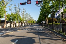 [한국여행] 한국의 대통령 관저, 청와대 앞~~☆ - 고팀장 갤러리 - 탄포포헤어