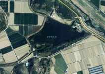 신전늪(경남) :: 토종붕어를 사랑하는 사람들