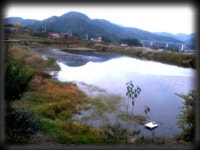 소류지 :: 토종붕어를 사랑하는 사람들