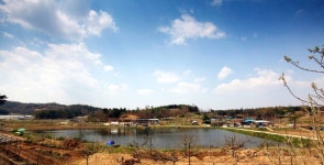 낙동소류지 :: 토종붕어를 사랑하는 사람들