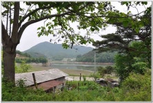 판곡지 :: 토종붕어를 사랑하는 사람들