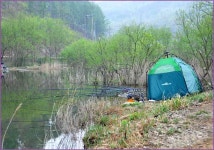 달박골 :: 토종붕어를 사랑하는 사람들