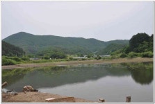 판곡지 :: 토종붕어를 사랑하는 사람들