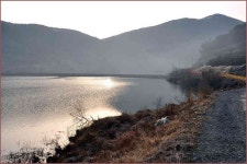 남산지 :: 토종붕어를 사랑하는 사람들