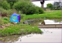 바람따라 구름따라 404회(부여 갈채수로) :: 토종붕어를 사랑하는 사람들