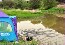 바람따라 구름따라 404회(부여 갈채수로) :: 토종붕어를 사랑하는 사람들