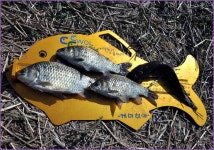 바람따라 구름따라 404회(부여 갈채수로) :: 토종붕어를 사랑하는 사람들