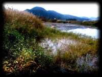 소류지 1 :: 토종붕어를 사랑하는 사람들