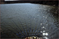 (왕방지)바람따라 구름따라 537회 :: 토종붕어를 사랑하는 사람들