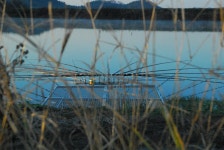 연산권을 떠돌며 ..... :: 토종붕어를 사랑하는 사람들