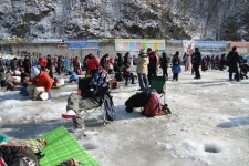 화천산천어 Ice Fishing :: 축제 사진 || 더페스티벌 화천산천어 Ice Fishing :: 축제 사진