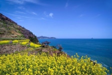 남해 다랭이마을 봄꽃으로 다랭이논축제 기다림 갖게 한다 :: 축제 리뷰 || 더페스티벌 남해 다랭이마을 봄꽃으로 다랭이논축제 기다림 갖게 한다... 