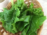 [삽교호맛집] 서산태안횟집(인주횟집) :: 맛집정보 || 더페스티벌 [삽교호맛집] 서산태안횟집(인주횟집) :: 맛집정보