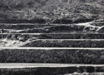 조문환의 지리산별곡 제2호 먹점고개 키다리 소나무아래에서의 냉정과 열정  :: 전체뉴스 || 더페스티벌 조문환의 지리산별곡 제2호 먹점고개... 