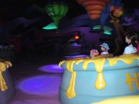 Poohs Hunny Hunt Ride Photos, Tokyo Disneyland Resort