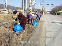 [세계로컬핫뉴스]‘깨끗하고 밝은 여주만들기’ 청안1리 노인회가 앞장서다
