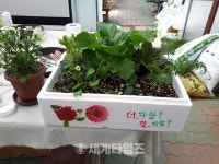 세계타임즈 [세계로컬핫뉴스] 청주시, “꽃과 식물로 내 마음에 사랑을 키워요!”