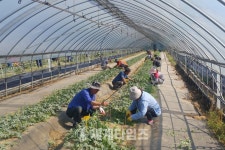 [세계로컬핫뉴스] 강화군농업대학, 현장실습 중심으로 교육 개편