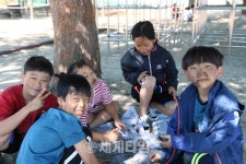 [세계로컬핫뉴스] 제천 두학초등학교, 친구들아! 학교 운동장에 밀사리하러 가자!