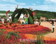 [세계로컬핫뉴스] 2017제천국제한방바이오산업엑스포 사진촬영대회 입상작 전시회 개최