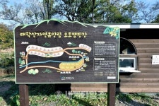 [세계로컬핫뉴스]오감만족 힐링 캠핑! 태학산 오토캠핑장 개장