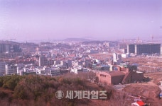 [세계로컬핫뉴스] 김포시 승격 20년, 김포시의 어제와 오늘