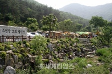 [세계로컬핫뉴스] 단양 오토캠핑장 오는 23일 일제 개장