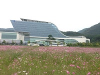 [세계로컬핫뉴스] 추석연휴 금호강 하중도 및 혁신도시 코스모스 구경오세요