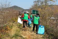 [세계로컬핫뉴스] 하점면 부녀회, 나들길 및 삼거천 환경정비 실시
