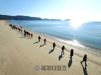 완도군, 전국 최초 맞춤형 노르딕워킹 코스 개발