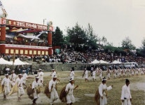 [세계로컬핫뉴스] 삼화지역 보역새 놀이, 마을축제로 문화적 재생 시도