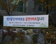 신장미 사진 4