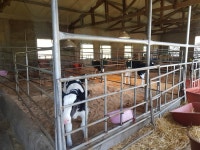 [세계로컬핫뉴스] 경남도, ‘사회적 농업’ 본격 육성 시작