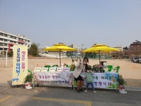 금촌유치원, 드라이브스루 가정학습 지원