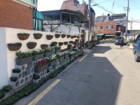 [세계로컬핫뉴스] 마을을 케어하는 중앙동 커뮤니티 조성사업