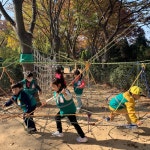 세종시교육청, 놀이중심의 생태친화적 유아교육을 위한 생태유치원 시범운영
