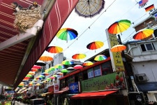 [세계로컬핫뉴스] 하남 석바대, 환경정비에도 ‘제비’ 늘어나
