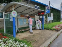[세계로컬핫뉴스] 양도면 의용소방대 코로나19 방역 활동 총력