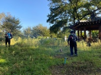 [세계로컬핫뉴스] 연기면, 추석맞이 당산 예초작업