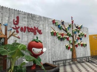 [세계로컬핫뉴스] 경북의 숨겨진 체험관광콘텐츠 30개 선정