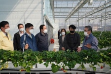 [세계로컬핫뉴스] 허태웅 농촌진흥청장, 경북 찾아 농업현장 목소리 청취