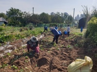 고양시 성사2동, 2021 사랑의 나눔농장으로 이웃 사랑 실천