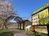 청송군 신성계곡(길안천), 한국관광공사 봄시즌 비대면 안심관광지에 선정