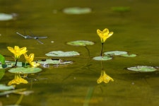 송림1동 지역사회보장협의체, 재능기부자와 취약계층 청소 지원사업 실시