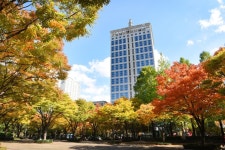 화명수목원, 단풍의 계절을 맞아 사생대회 개최