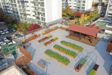 부평구, 갈산2동 행정복지센터에 나눔옥상텃밭 조성